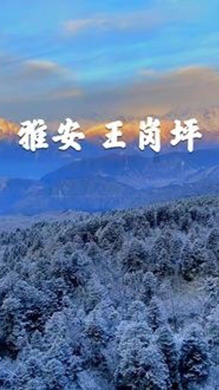 有一种叫云南的生活｜这个冬天总要来趟迪庆吧
